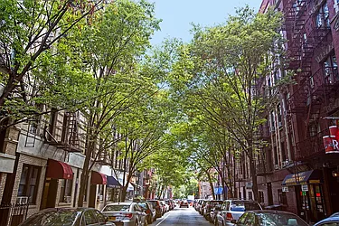 Rented by REAL New York
