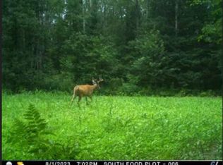 Perch Ln, Pickerel, WI 54465