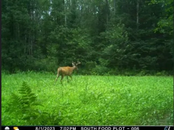 Perch Ln, Pickerel, WI 54465