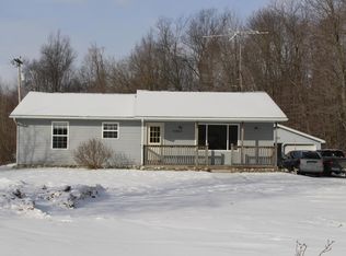 9985 Youngman Rd, Lakeview, MI 48850