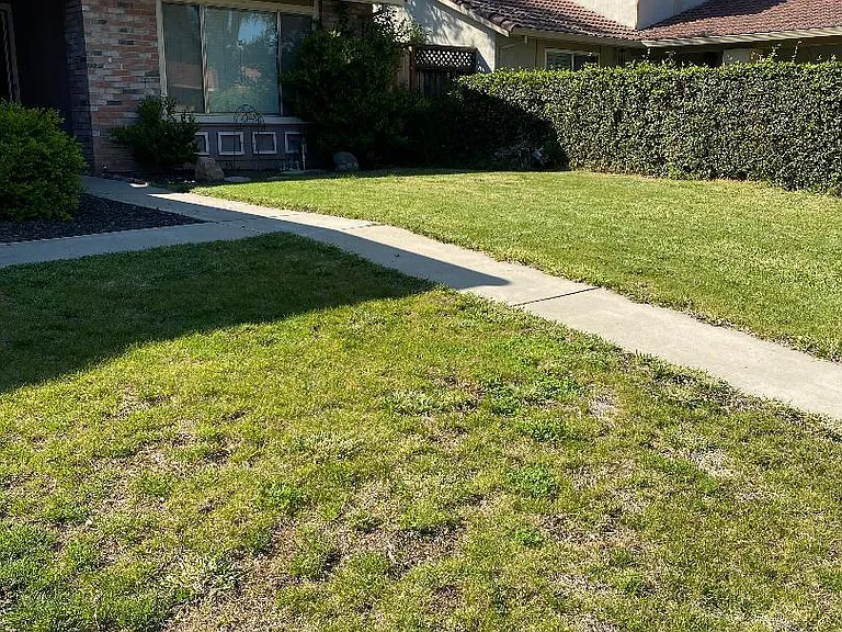 Front of the House