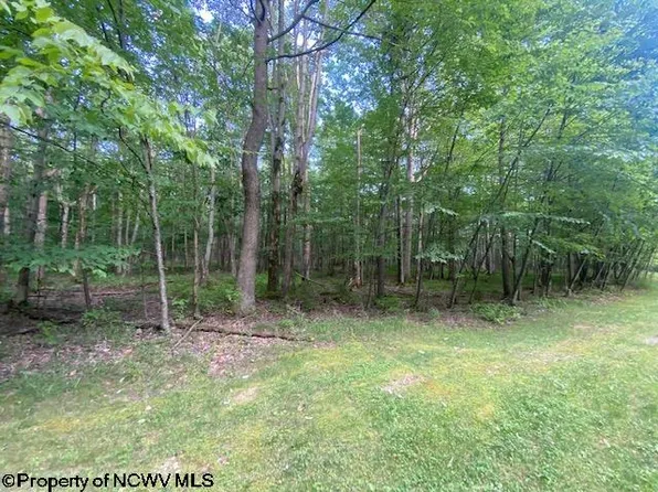 S Branch Haven Dr, Bruceton Mills, WV 26525