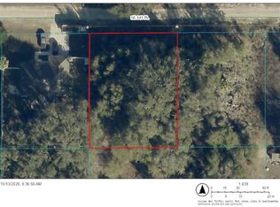 TBD SE 143RD PLACE LOT 11, SUMMERFIELD, FL 34491