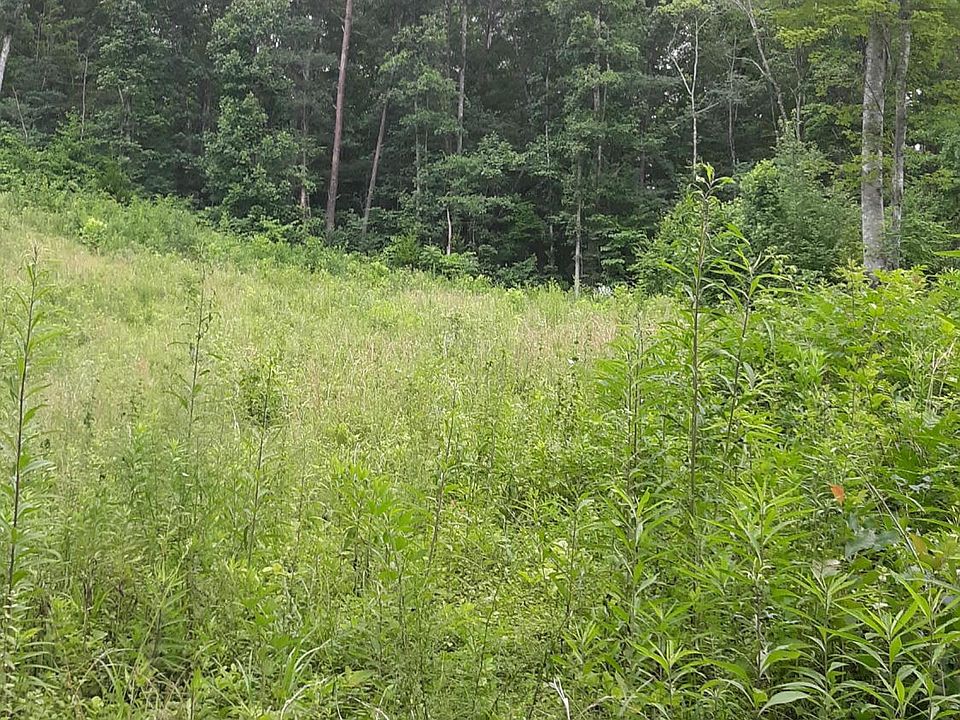 1st image of Wildcat Trl