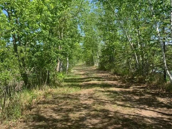 57538 County Road 3, Pine City, MN 55063