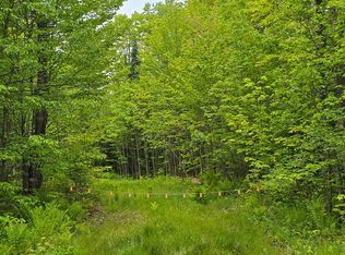 23990 Bass Lake Rd, Watersmeet, MI 49969