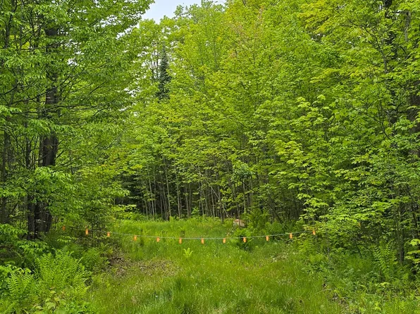 23990 Bass Lake Rd, Watersmeet, MI 49969