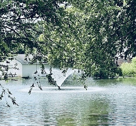 Scenic pond with fountain just steps from your door.