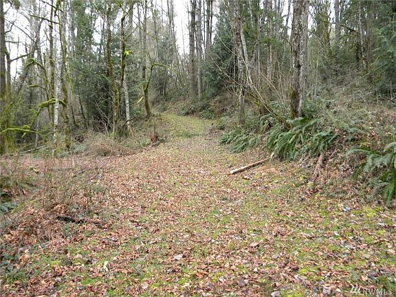View looking north back down the road - Lightly treed with plenty of privacy and seclusion.