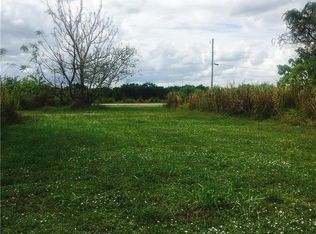 16971 1st St LOT 10, Alva, FL 33920