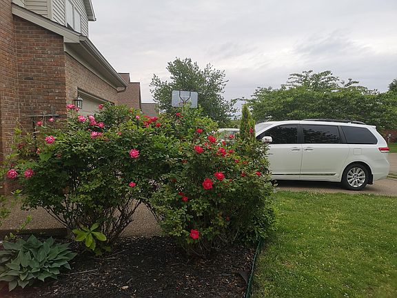 2nd image of 3799 Canterbury Ct