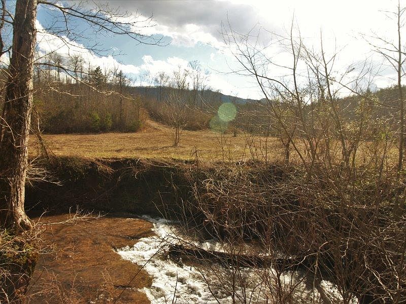 1st image of 341 County Road 481