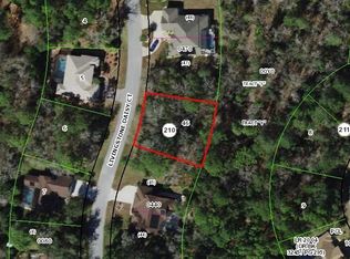11 Livingstone Daisy Ct, Homosassa, FL 34446