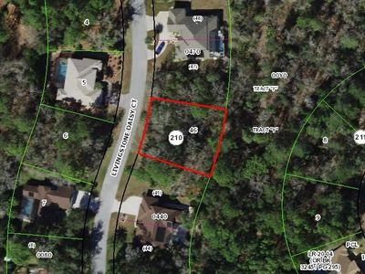 11 Livingstone Daisy Ct, Homosassa, FL, 34446