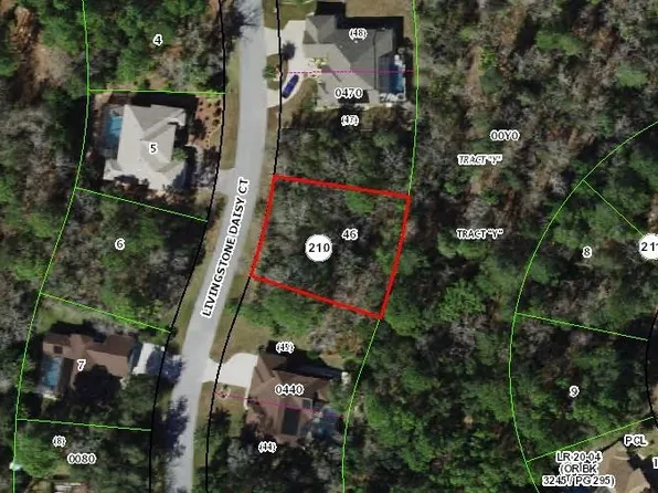 11 Livingstone Daisy Ct, Homosassa, FL 34446