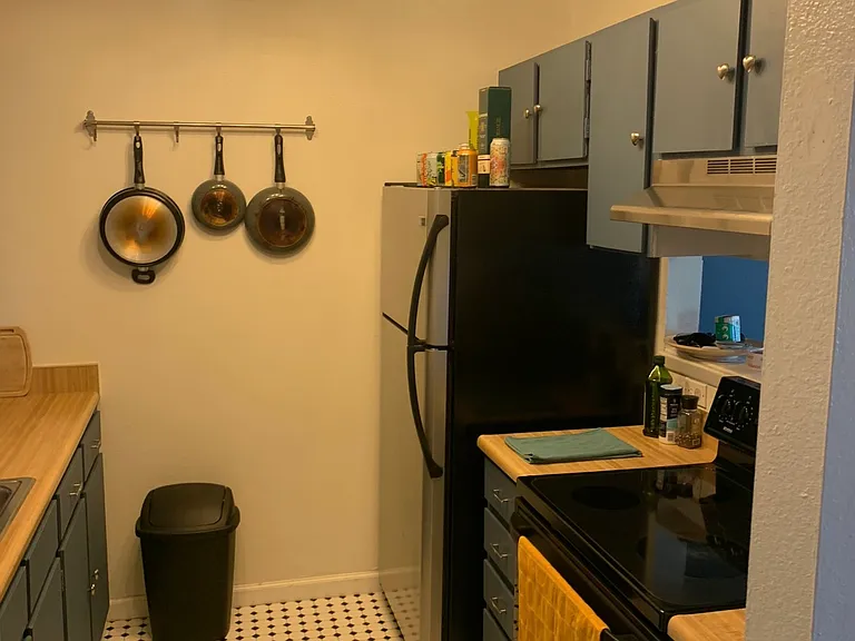 1855 Chalcis Dr #B40 — Photo 3