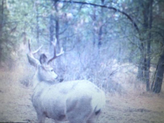 3rd image of 0 Egypt Loop Rd