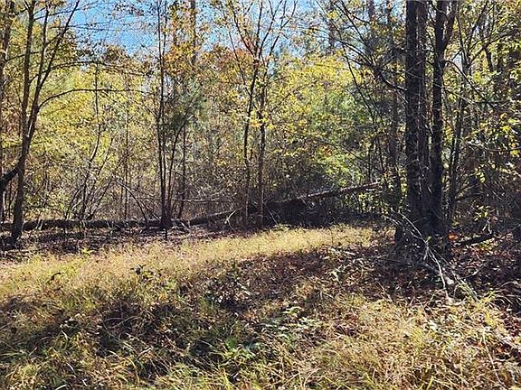 4th image of 0 Highway 411 #144