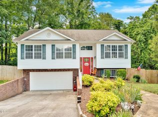 46 Taylor Ridge Ct, Johnson City, TN 37601
