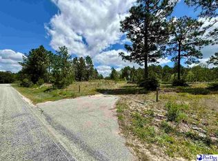 739/ACRE S Evans Mill Rd, Chesterfield, SC 29709