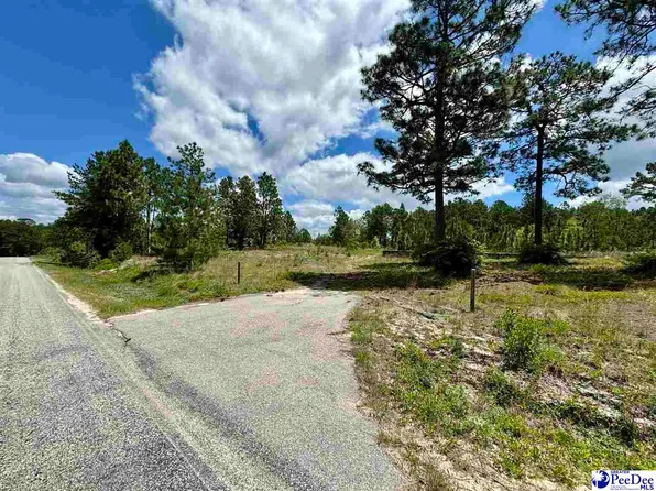 739/ACRE S Evans Mill Rd, Chesterfield, SC 29709