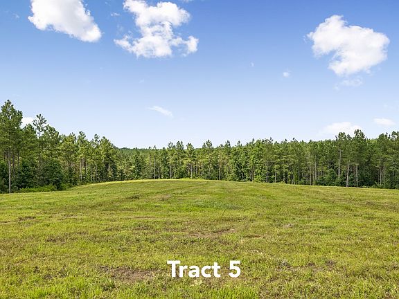 5th image of 1420 Big Swan Creek Rd Tract 5