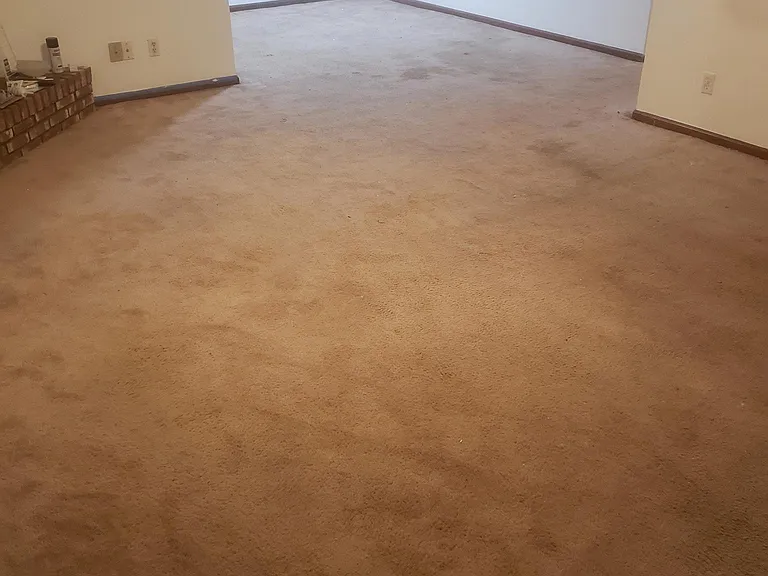 119 Wolfbay Cir — Photo 20