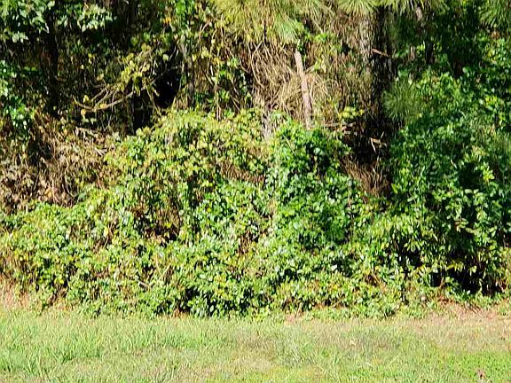 3rd image of LOT 12 Wild Cherry Ln Lot 12