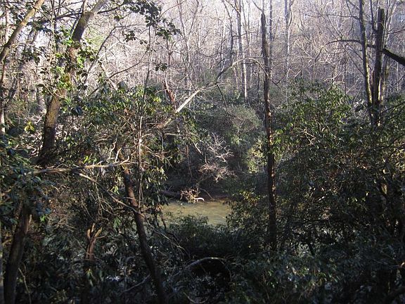 3rd image of LT 11 Rainbow Dr