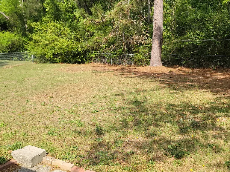 3519 Kindling Dr — Photo 10