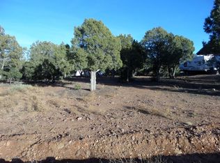 1461 N Bear Hollow Ln, Show Low, AZ 85901