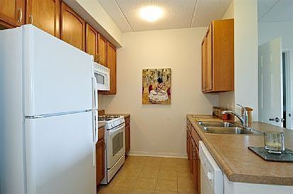 4th image of 2335 W Belle Plaine Ave APT 403