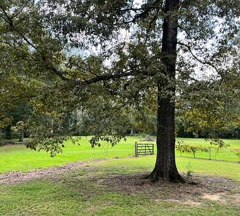 View from kitchen overlooking backyard.