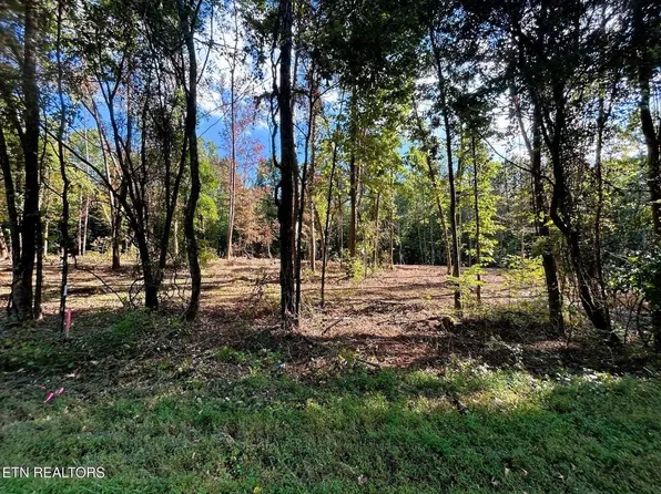 55 Pleasant Hill Rd, Ten Mile, TN 37880