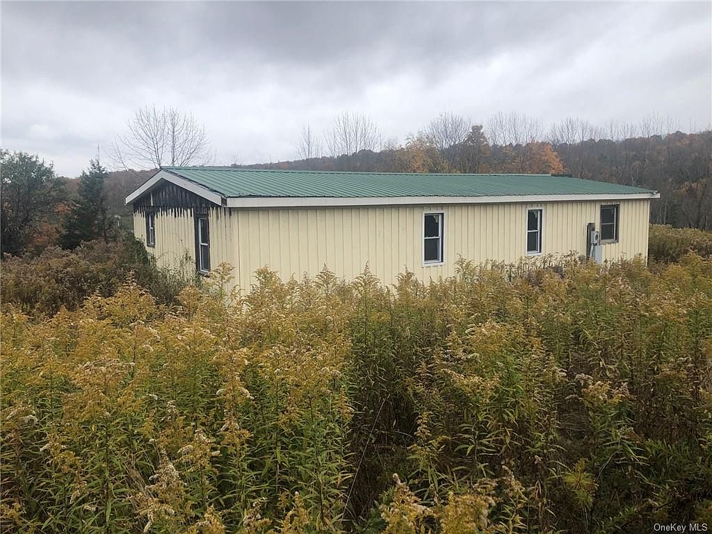 231 Meyer Road, Livingston Manor, NY 12758 Zillow