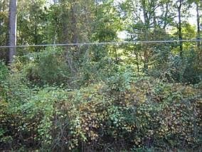 2nd image of Lot 3 River Plantation