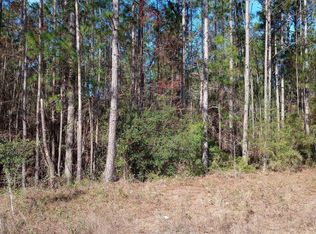 0 Spring Lake Dr, Folkston, GA 31537