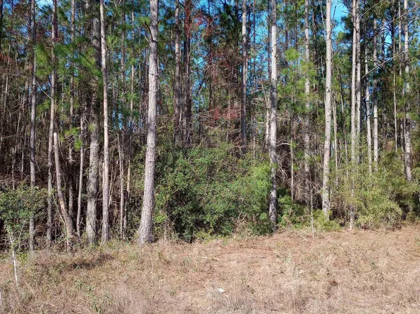 0 Spring Lake Dr, Folkston, GA 31537