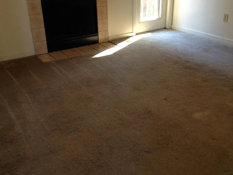 3011 Autumn Pl S #A-D — Photo 9