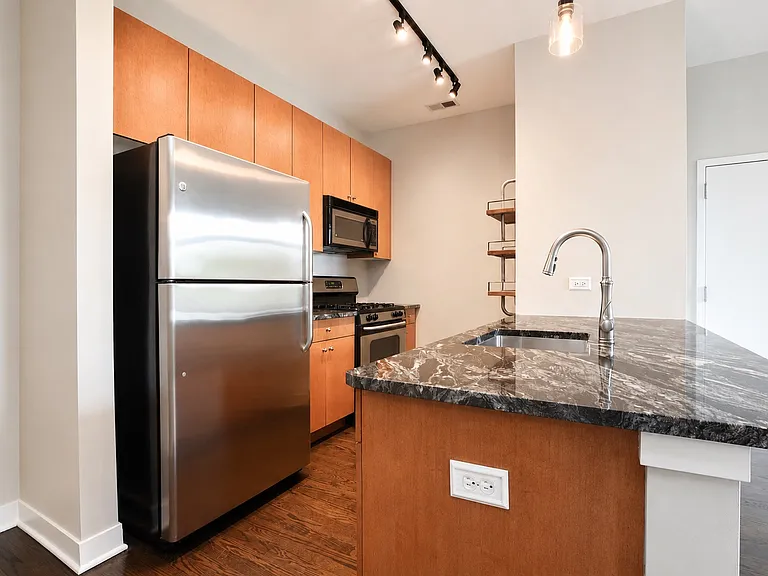 1531 S Halsted St #302 — Photo 4