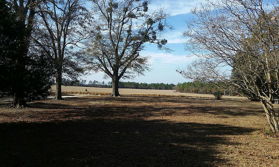 2nd image of 309 Lee Gunter Rd