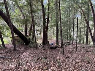 3rd image of 320 Coon Creek Rd