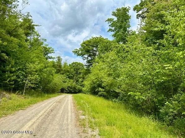 L69 Old Ghost Road Lot 8, Canaan, NY 12125
