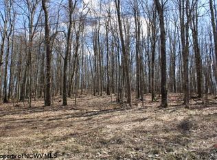 LOT 6 Sand Bank Rd, Masontown, WV 26542