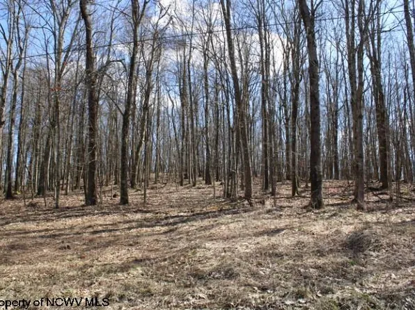 LOT 6 Sand Bank Rd, Masontown, WV 26542