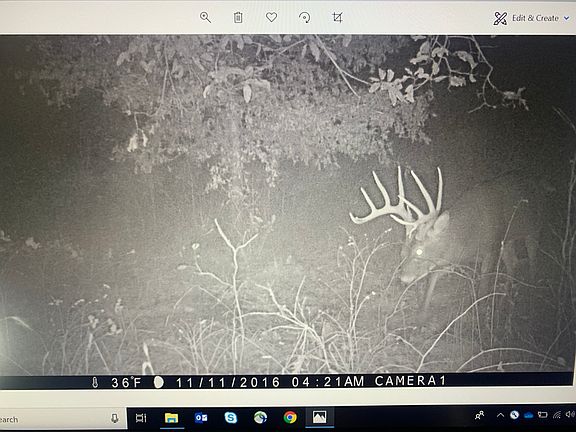 5th image of 991 NE E Hwy