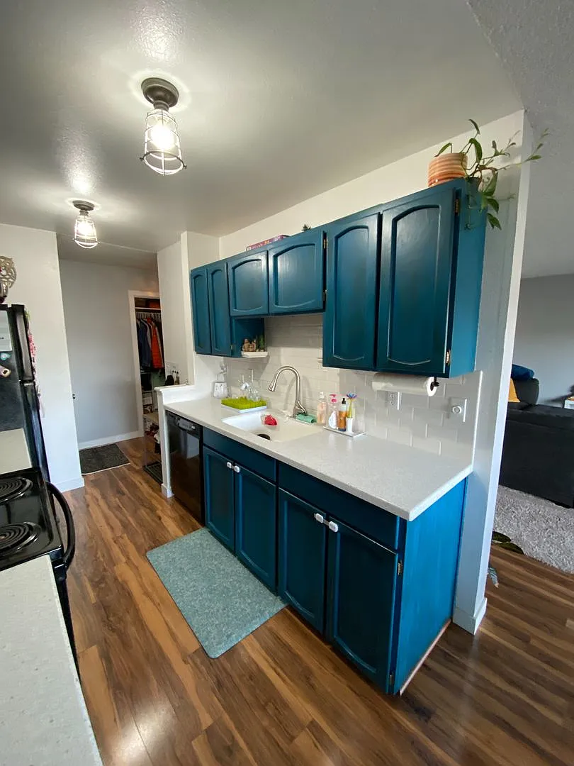 Burien 2 bedroom 1 bath light and bright interior available 11/1 — Photo 4