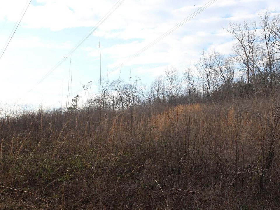 2nd image of 0 Largent Hollow Rd