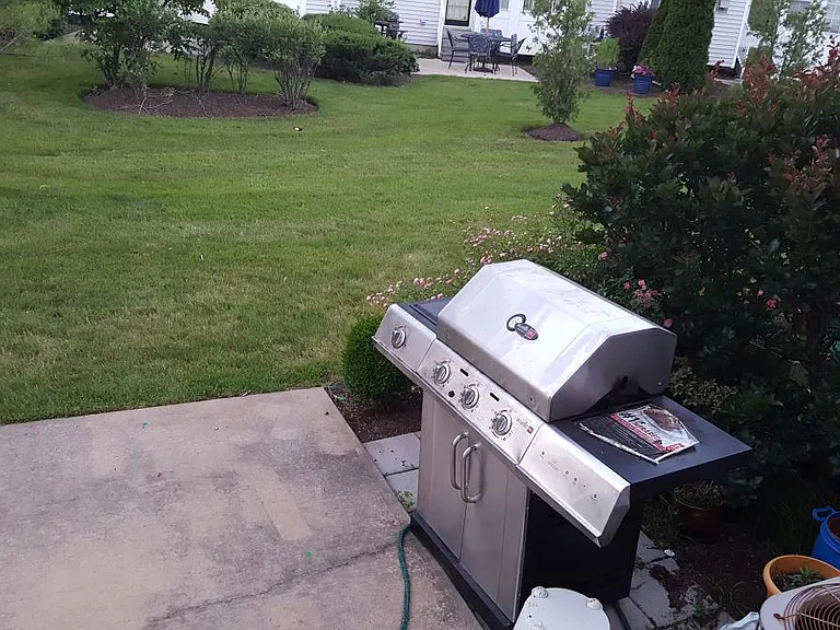 House big Backyard for outdoor parties