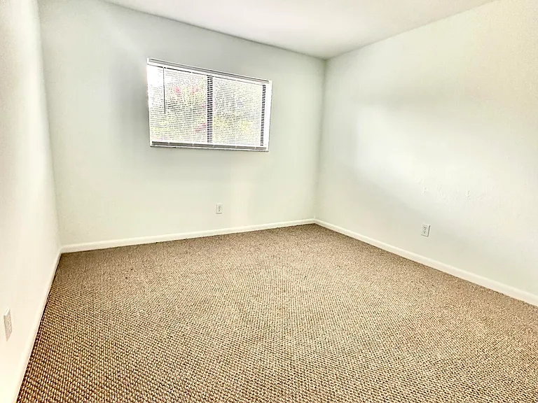 4451 Holly Tree Rd — Photo 13